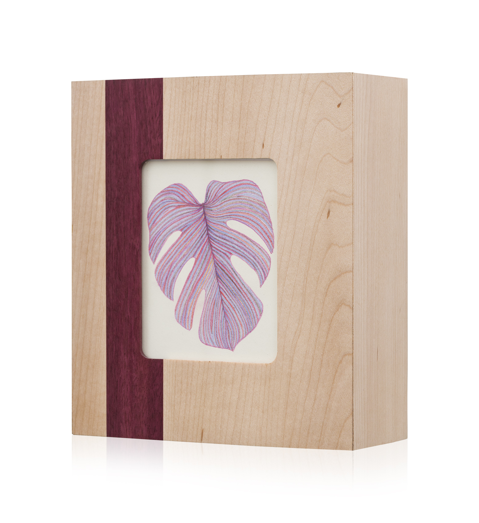 Monstera Drawing Solo 3_2